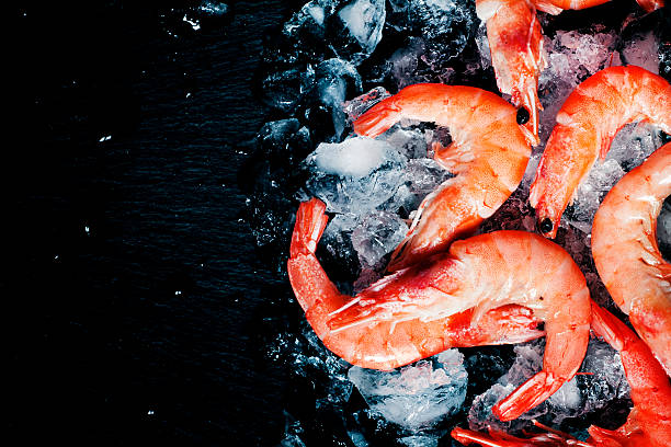 istock Food flat background, shrimp and ice 512620206