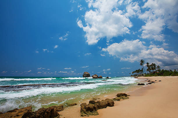 istock Sea landscape with palm trees 512620792