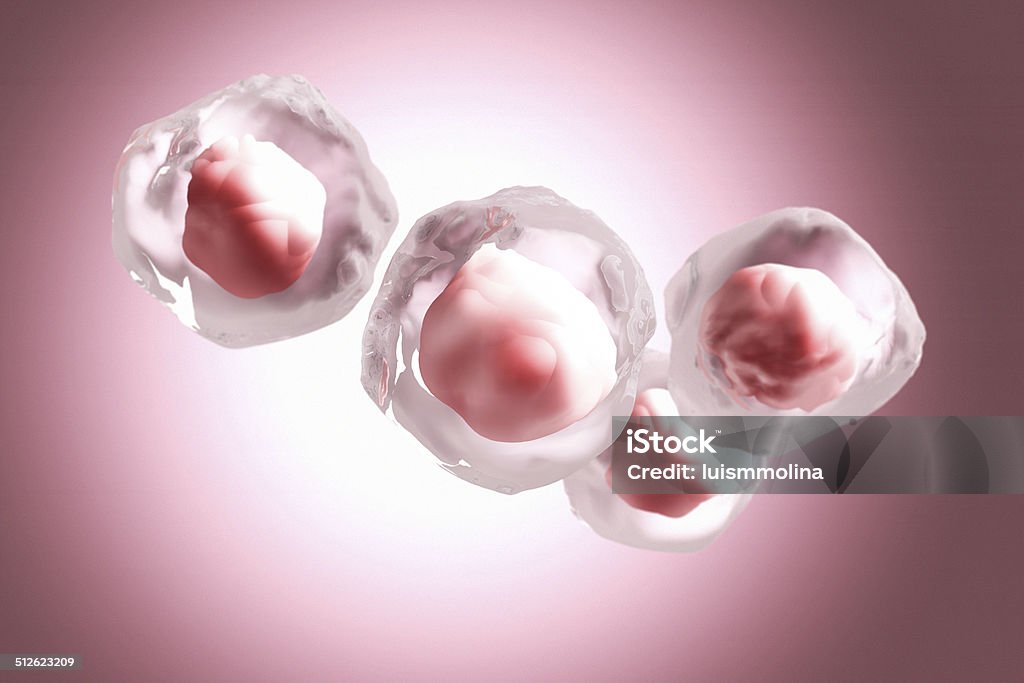 Stem Cell Detailed Image of  Stem Cells Artificial Stock Photo