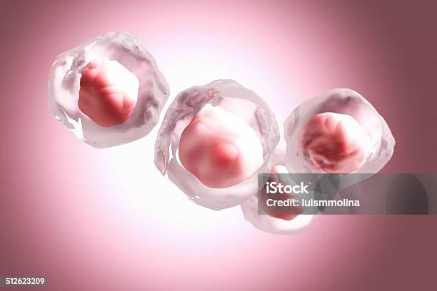 Stem Cell Stock Photo - Download Image Now - Artificial, Biochemistry, Biological Cell