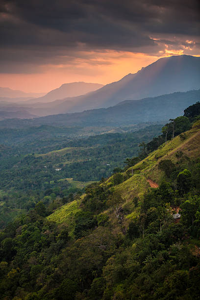 istock Scenic views at Sri Lankan mountains 512623266