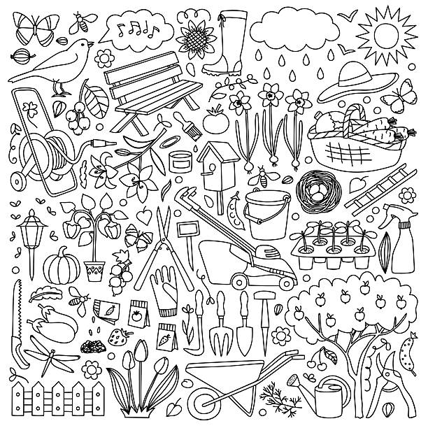 illustrations, cliparts, dessins animés et icônes de jardin doodle ensemble - decorative plant