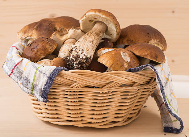 istock porcini mushrooms in basket 512625269