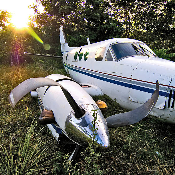 Airplane wreck Airplane wreck in the jungle airplane crash stock pictures, royalty-free photos & images