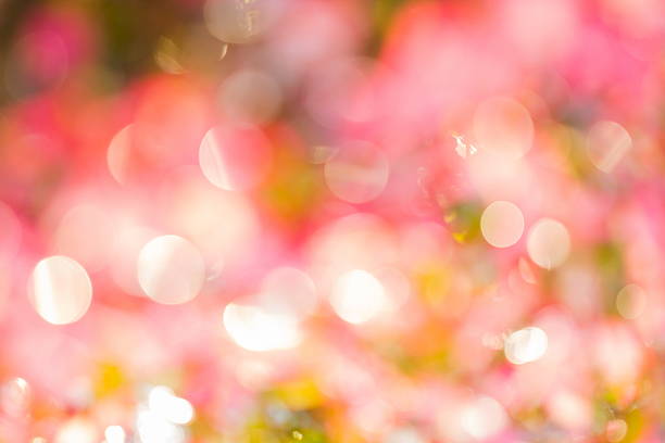 istock Bokeh background on green and red leaf.  Element of design. 512627458
