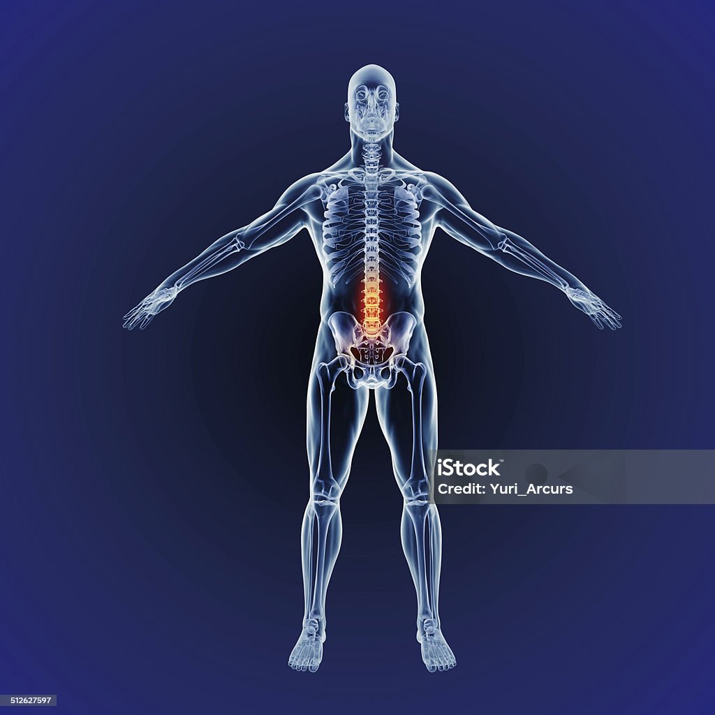 Deep pain inside the human body Cgi scan of the human body indicating a spinal problem Accuracy Stock Photo