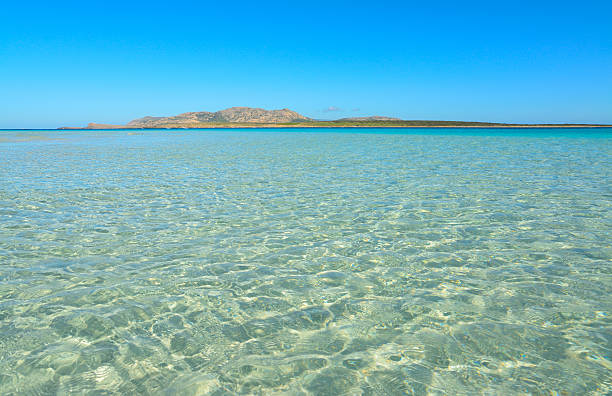 istock clear water in La Pelosa beach 512629906