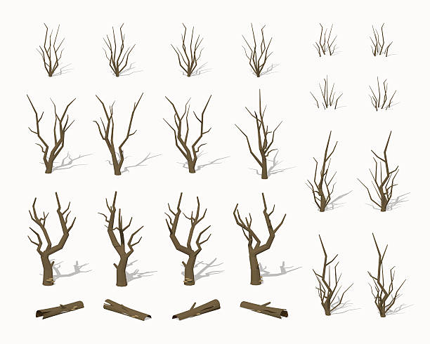 сухое мертвых деревьев - bare tree dry tree branch stock illustrations