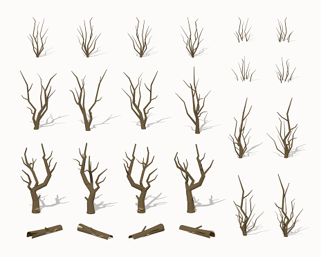 Dried dead trees. 3D lowpoly isometric vector illustration. The set of objects isolated against the white background and shown from different sides