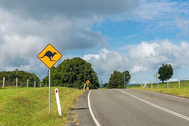 istock Australian outback road with kangaroo road sign 512635194