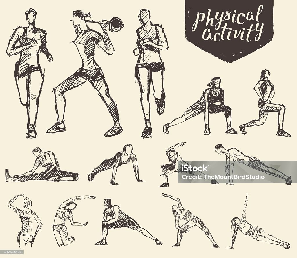 Fitness gymnastic exercises drawn vector sketch Fitness and gymnastic exercises. Hand drawn vector illustration, sketch Drawing - Activity stock vector