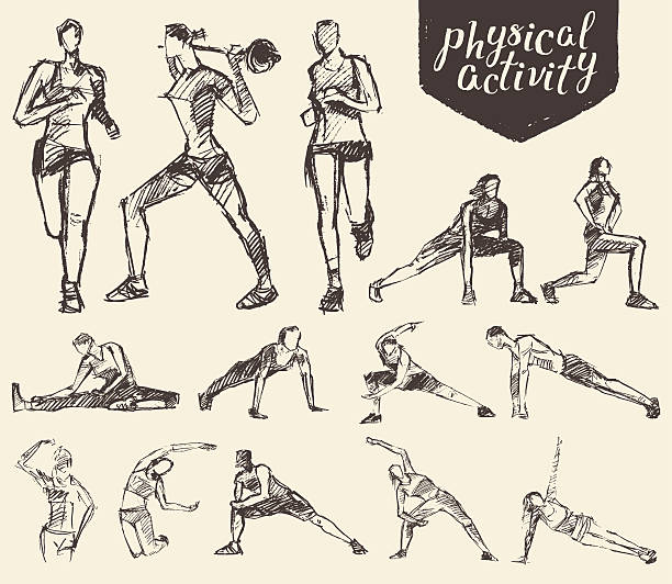 Fitness gymnastic exercises drawn vector sketch Fitness and gymnastic exercises. Hand drawn vector illustration, sketch gym illustrations stock illustrations