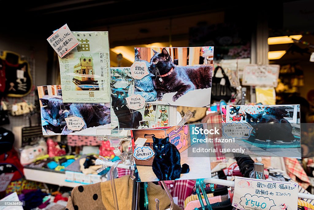 Cat Themed Shop window in Yanaka, the cats' town Tokyo, Japan - January 09, 2016: Cat Themed Shop window in Yanaka, the cats' town. Yanaka  is one of the few districts in Tokyo where the shitamachi atmosphere, an old town ambience reminiscent of Tokyo from past decades, still survives. Asia Stock Photo