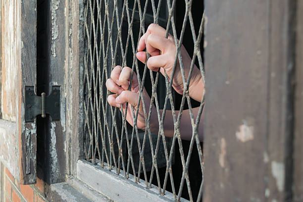 istock Woman hands on lattice 512637050