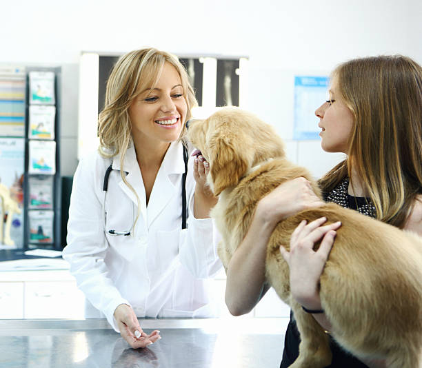 chica tomando su perro al vet. - vet dog teenager puppy fotografías e imágenes de stock