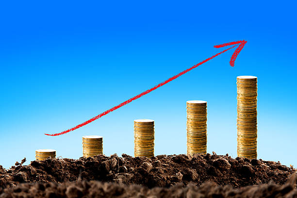 istock Money growing in soil , Business success concept. 512683548