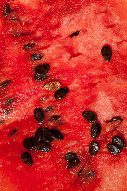 istock Red flesh watermelon with seeds 512684720