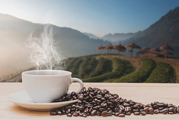 istock Coffee on wooden table with Morning Coffee plantation 512687812