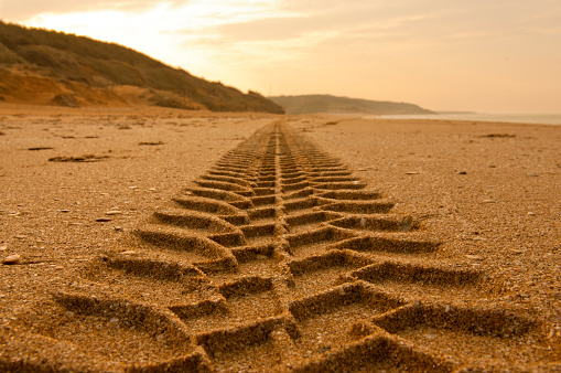 Tractor tire tracks in the sand