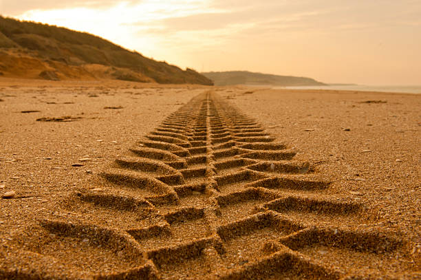 Tire Tracks stock photo