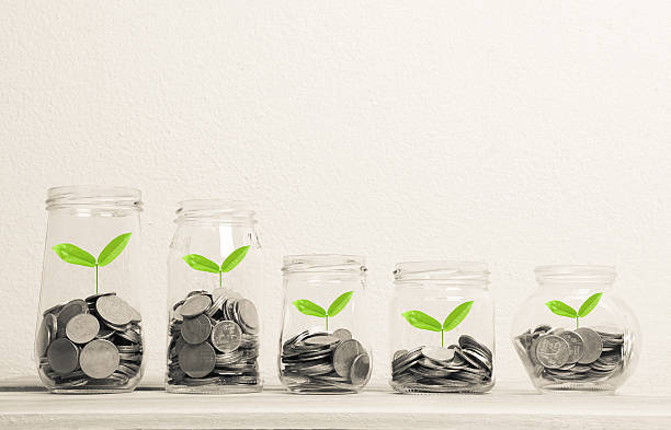 istock Growing plant on coin money in the bottles 512689280