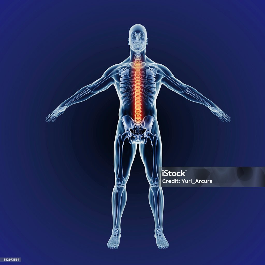 Pain can strike whe you least expect it Cgi scan of the human body indicating a spinal issuehttp://195.154.178.81/DATA/shoots/ic_784157.jpg Accuracy Stock Photo