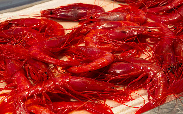 Fresh seafood in a local market
