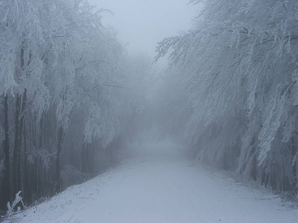 Photo of Spooky Snow Road