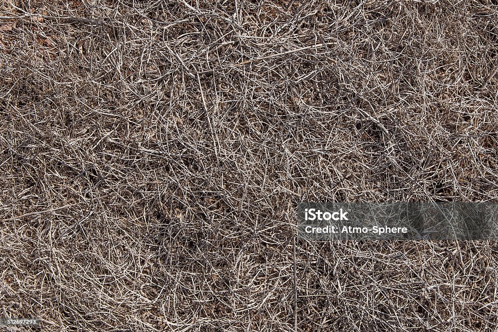 Completely dried out soil of Ponta do Rosto Madeira Abstract Stock Photo