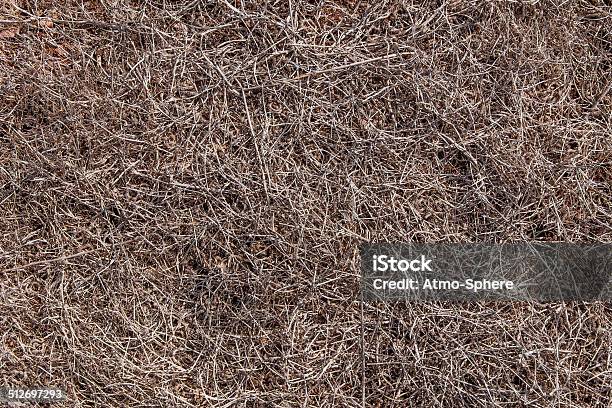 Completely Dried Out Soil Of Ponta Do Rosto Madeira Stock Photo - Download Image Now