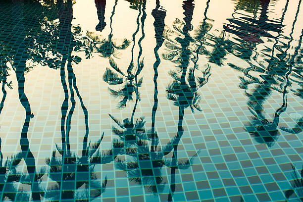 tropicale palme riflesso nell'acqua della piscina. - nobody africa summer tourist resort foto e immagini stock