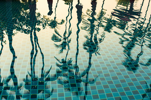 Tropical palm trees reflection in the water pool.
