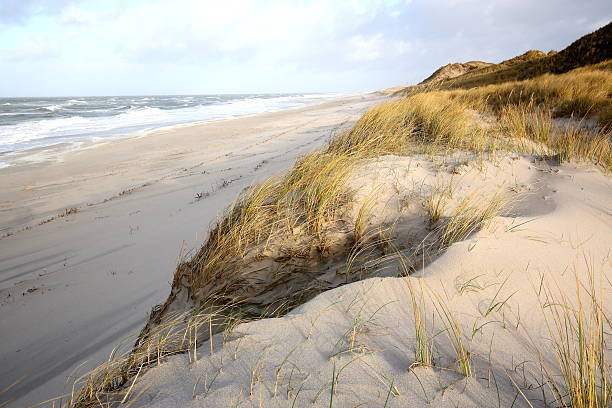 istock dunes and beach of Sylt 512698488