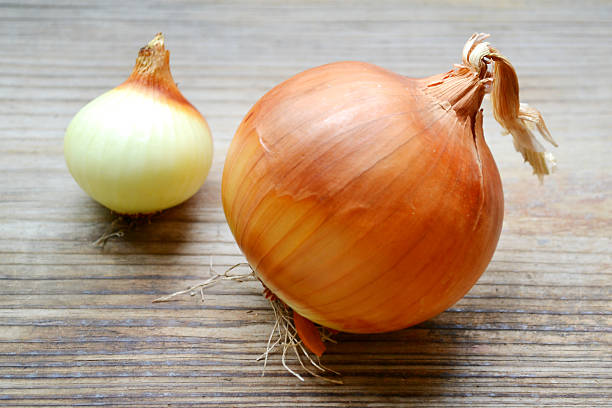 istock Big golden bulb onion on wooden table 512699623