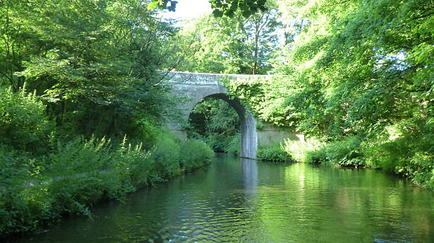 istock Green trees lining the lancaster canal in the summer time 512705122