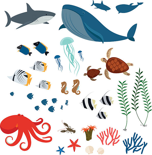 ilustraciones, imágenes clip art, dibujos animados e iconos de stock de peces animales y vista al mar - characters coral sea horse fish