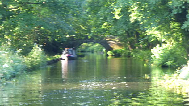 istock Green trees lining the lancaster canal 512725614