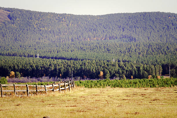 Old wooden fence stock photo