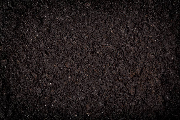 istock close up of black soil 512728800