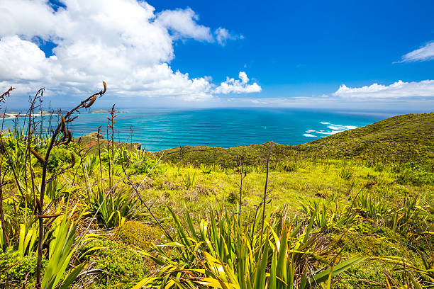 istock New Zealand Coutryside 512729630