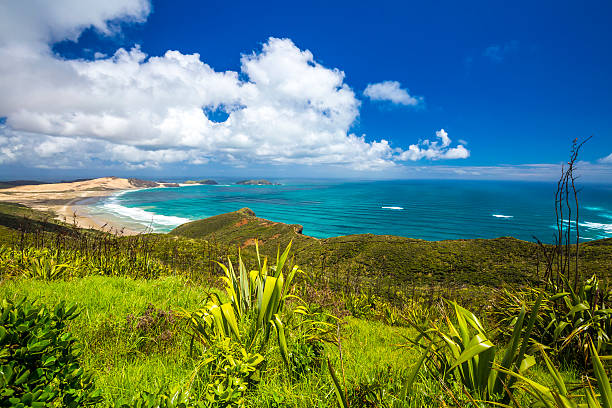 istock New Zealand Coutryside 512729824