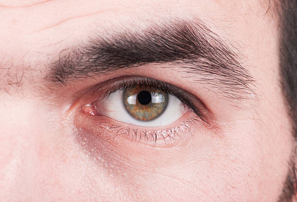 istock Close Up Of Eyes 512730756
