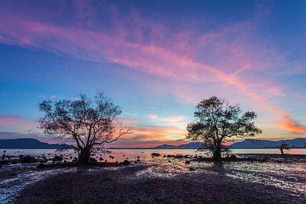 istock Beautiful sunset at twilight sky at Khao Khad, Phuket, Thailand 512734332