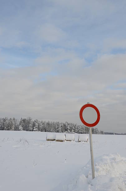 winterwald mit verkehrsschild - fahrspur fotografías e imágenes de stock