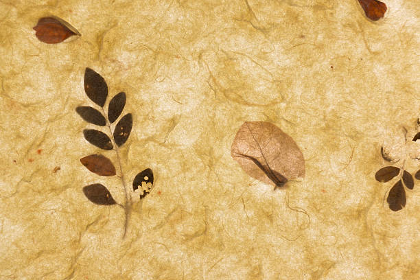 istock Hand made mulberry paper 512736166