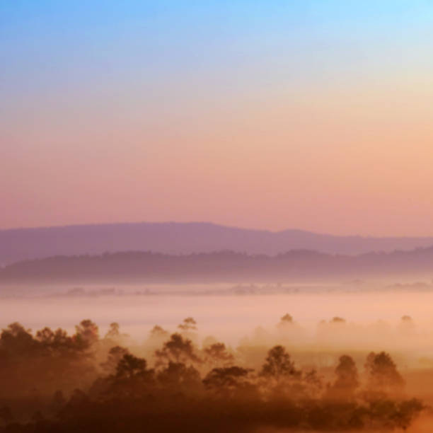 istock Blurred Sunrise Background, Early Morning Light.. 512736194