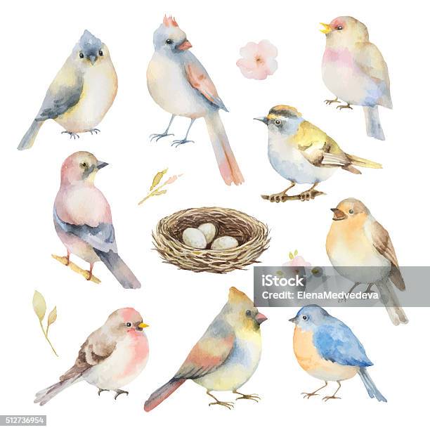 Watercolor Vector Set Of Birds Stock Illustration - Download Image Now - Bird, Watercolor Painting, Flower