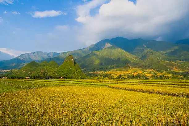 Beautiful landscape about rice field and mountains in Laocai province, Vietnam