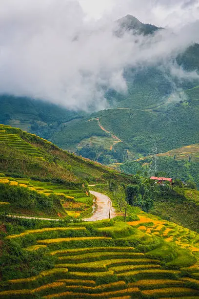 Beautiful landscape about terraced rice field in Laocai province, Vietnam