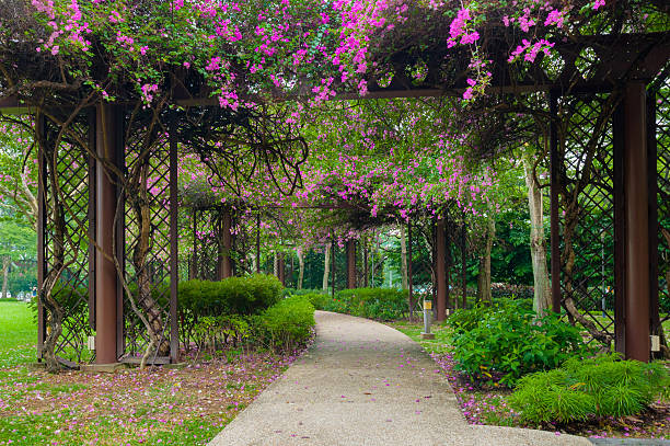 istock flower tunnel in public park 512738636
